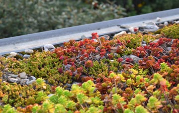 the cost of Drumlemble green roof installation