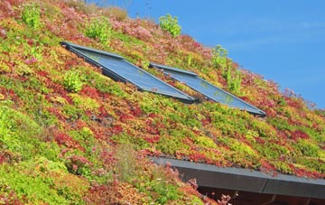 Drumlemble living roof systems