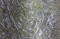 Drumlemble fibreglass roof work